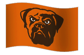 Go Browns